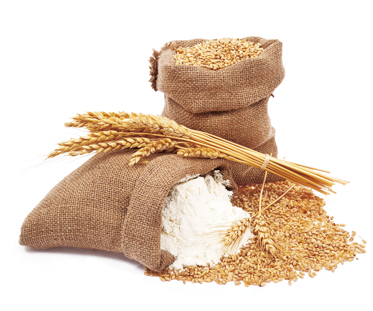 Import & Export of top-quality Brazilian Corn and Wheat